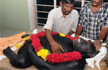 Female chimp Mirella dies at Mysuru Zoo